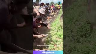 Download lagu 100 Men, 1 Rhythm! 🤯 Watch This INCREDIBLE Display of Teamwork in African Farming! #farming #africa mp3