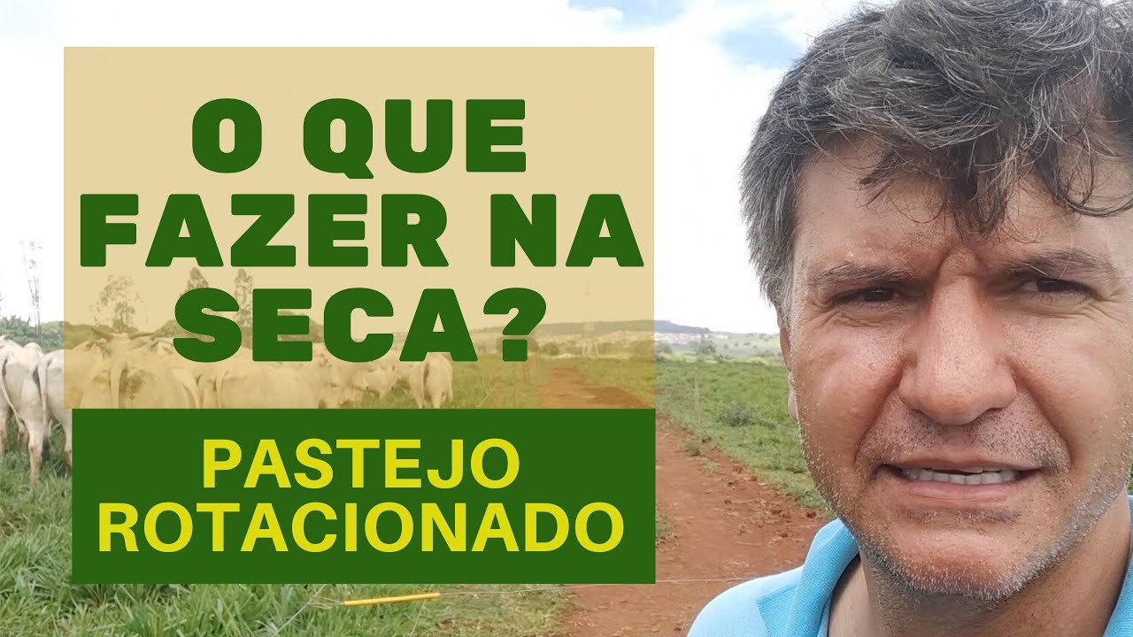 SAIBA O QUE FAZER NA SECA, NO SISTEMA PASTEJO ROTACIONADO.