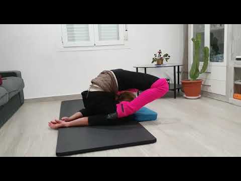 schlangenfrau contortion Training