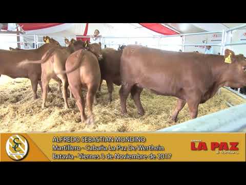 03-11-17 Nota Alfredo Mondino - Cabaña La Paz de Werthein - Batavia, San Luis