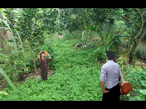 Sông xưa bến cũ - Vũ Trung Hiền