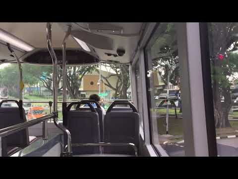 SG5769X on East West Line Bridging Shuttle (EW28 to EW29) — MAN ND323F A95 (ZF EcoLife)