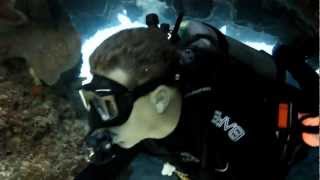 Tauchen in Playa del Carmen (Mexiko) - Bullenhaie - Diving near Cancun in Mexico