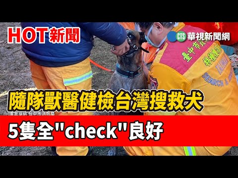 隨隊獸醫健檢台灣搜救犬 5隻全"check"良好