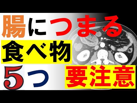 小さな違いは腸にもあります