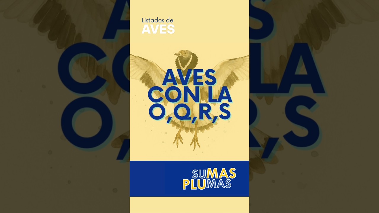 Aves con la O, Q, R y S