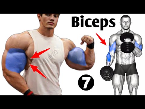 7 Effective Biceps Exercises At Gym - Biceps Workout