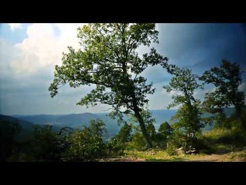 Moi Palz - Eine Hymne für die Pfalz von Alexander Entzminger ( HD )