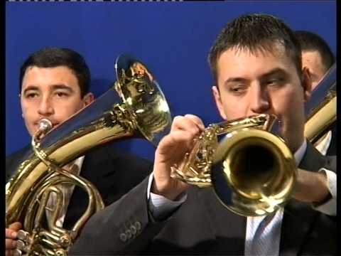 Orkestar Dragana Ignjica Ja te pesmom zovem