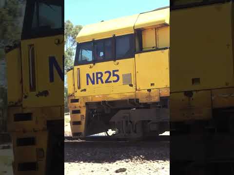 #shorts NR25 leads 1PM6 out of Pt Augusta