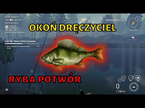 jak złowić okoń dręczyciel - ryba potwór lesni vila