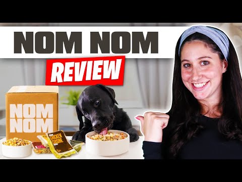 Nom Nom Dog Food Review [2026] - My Vet Was Surprised!