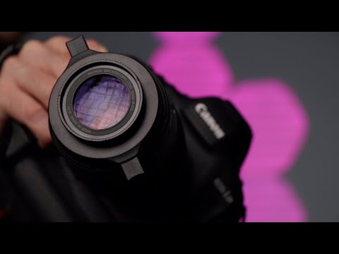 #Canon100mm Vs. Canon100mm & #Raynox DCR-250 Vs. #Laowa25mm [ Which has better image quality?! ]