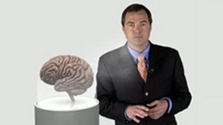 How To Use The Major System & Method of Loci To Memorize Numbers and Lists | The Great Courses