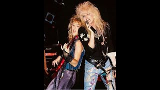 Vixen - Fallen hero