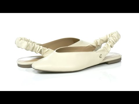 Circus by Sam Edelman Omina SKU: 9499518