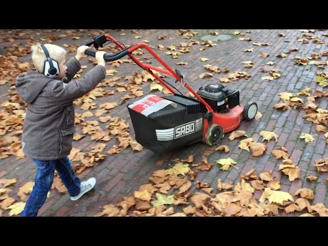 Laub entfernen mit dem Rasenmäher (Der Rasenmähermann) VIDEO für Kinder