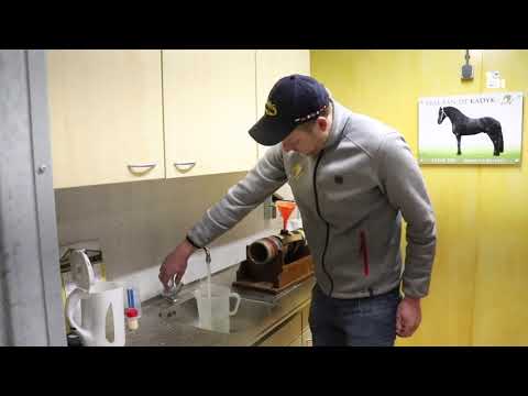 KFPS – Wilma' vlog II