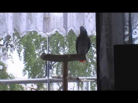 Hugo`s Märchenstunde Teil 2