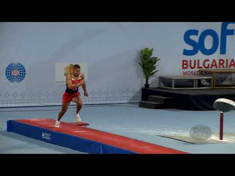 BROWNE Elliott (GBR) - 2017 Trampoline Worlds, Sofia (BUL) - Qualification Tumbling Routine 2