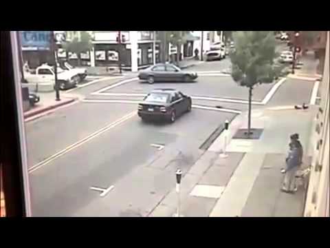 O'Neil, Anjing yang Selamatkan Pelatihnya dari Tabrakan