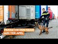 Marechaussee heeft handen vol aan mensensmokkel, 40 procent meer aanhoudingen