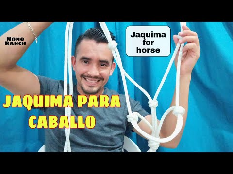 HOW TO MAKE A HORSE HARLEY.