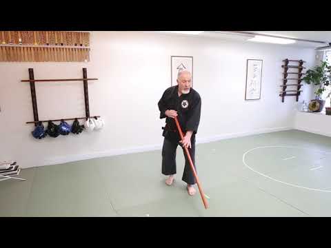 Last 4 Steps of the 13 Step Jo Kata