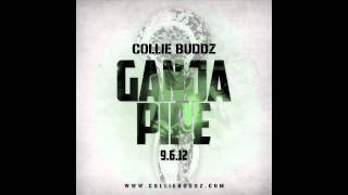 Collie Buddz - Ganja Pipe