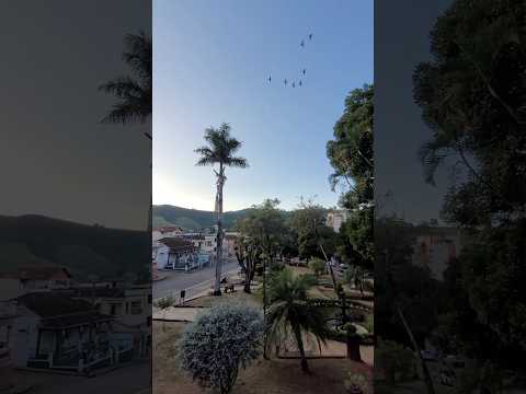 #minasgerais #mg #carmodeminas