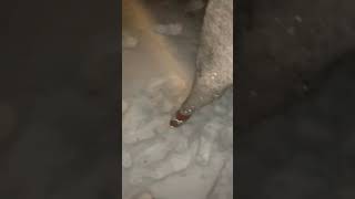 Mariah Carey - Slipping Away (Snipset) Aspen 2021