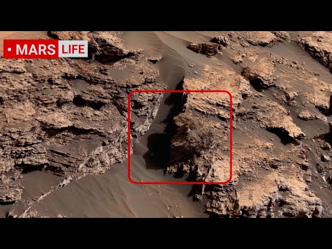 NASA Mars rover Sends Super Incredible Footage of Mars! Perseverance and Curiosity' Mars in 4K