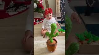 Download lagu video lucu bayi dan boneka kaktus short funny... mp3