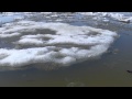 Ледоход на Амуре 