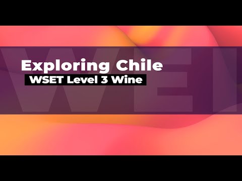 Exploring Chile for WSET Level 3 Wine students from @winebeerspirits