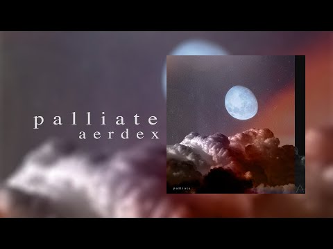 Aerdex - palliate EP (Album Mix)