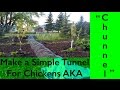 DIY Chicken Tunnel AKA CHUNNEL