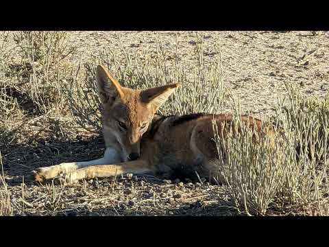 Namibia 24-day camping safari - Days 20 to 24