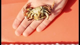 Roe Ethridge in Conversation with Kevin Moore