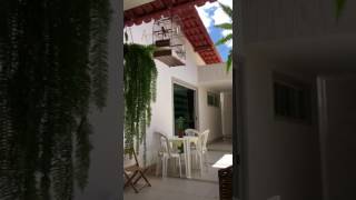 Curió Pardo Comendador (Sacerdote x Destak)