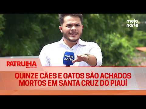 Quinze cães e gatos são achados mortos em Santa Cruz do Piauí | Patrulha