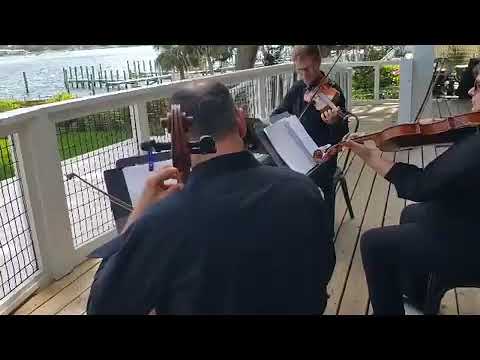 Promotional video thumbnail 3 for Seiler Strings