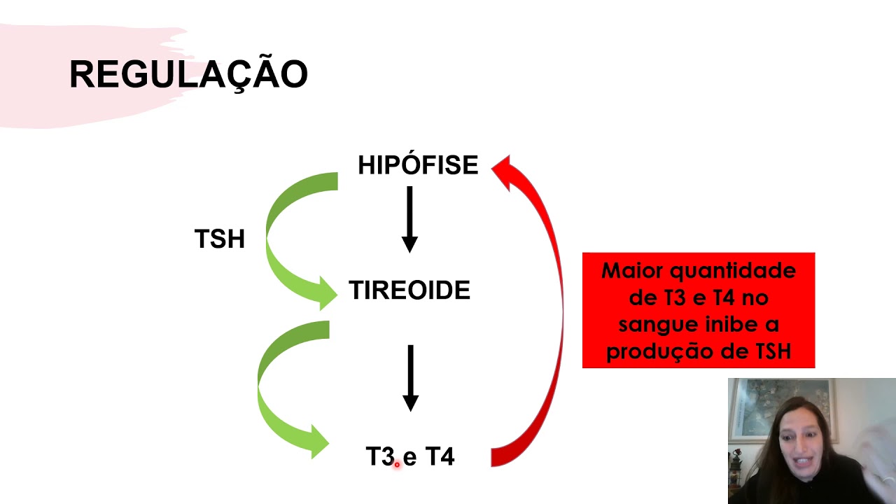 Tireoide (T3 e  T4) e regulação (TSH)