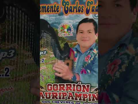GORRION TAURIPAMPINO. Tema:ENVIDIA EN MI PUEBLO.