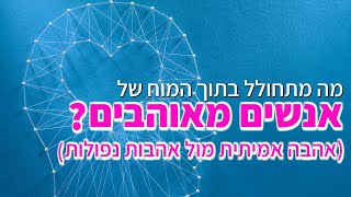 מה מתחולל במוחם של אנשים מאוהבים וכיצד נבדיל בין אהבות נפולות לאהבות אמיתיות? אליהו שירי