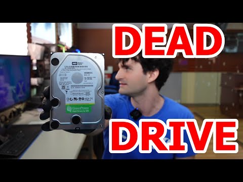 How to Recover Data From A DEAD WD Drive