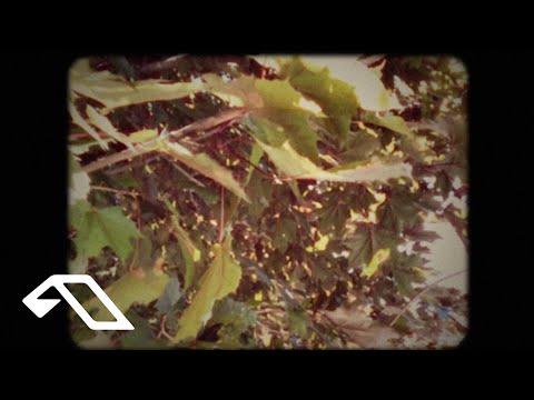 Leaving Laurel - together (we are more)