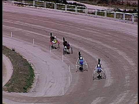 Trotto 20/09/2019 - 2ª prova di qualifica