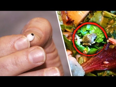 The Most Bizarre Things People Found Hiding in Their Food