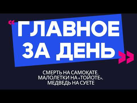Главное за день: смерть на самокате, малолетки на «Тойоте» и медведь на суете